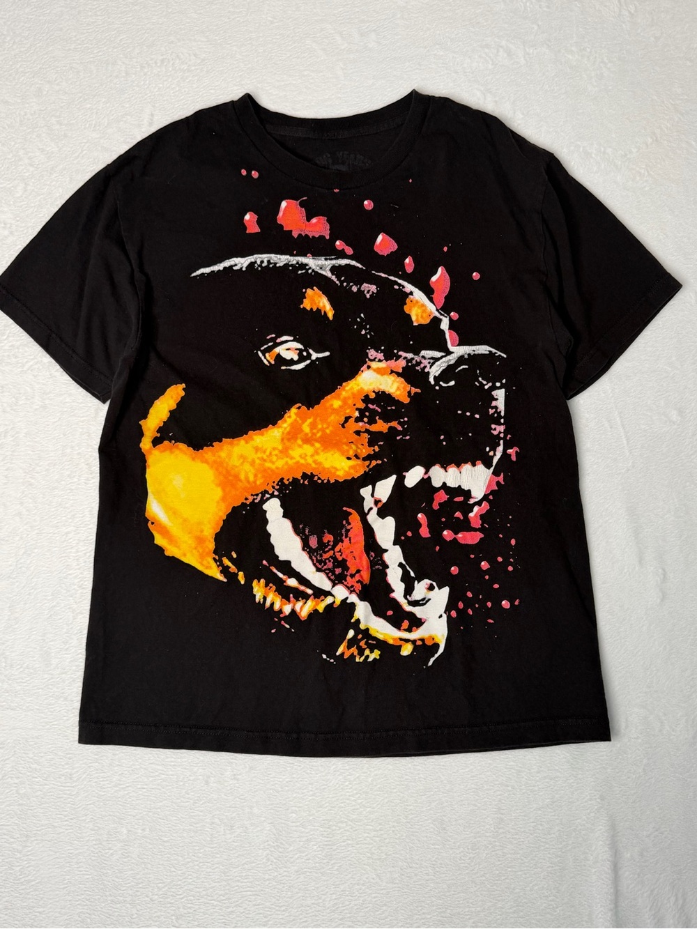 Dog Years x City Morgue Rottweiler Graphic Tee Black Skater Shirt